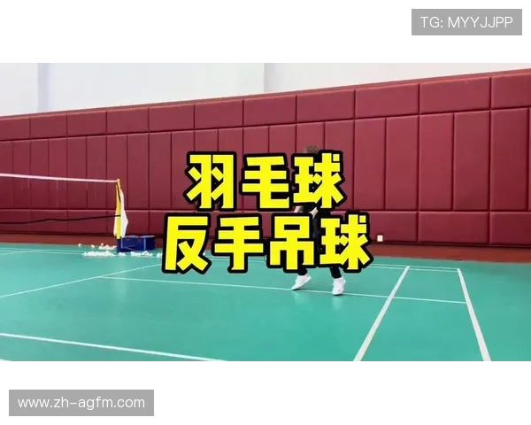 羽毛球教学 反手吊球