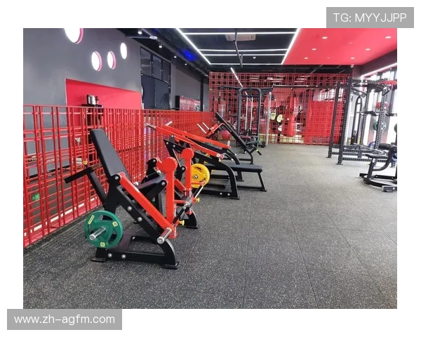 阳锐健身器材官网精选标题合集：