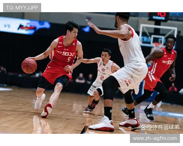 深圳CBA球队全名：球队介绍与历史背景