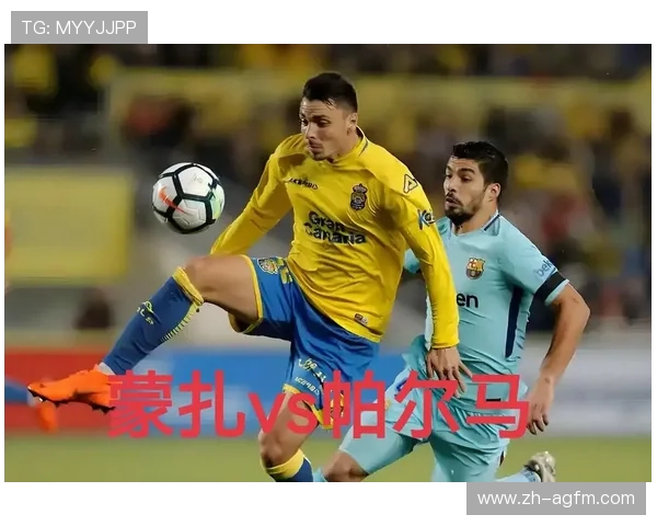 蒙扎足球俱乐部在意甲的表现与历史概述